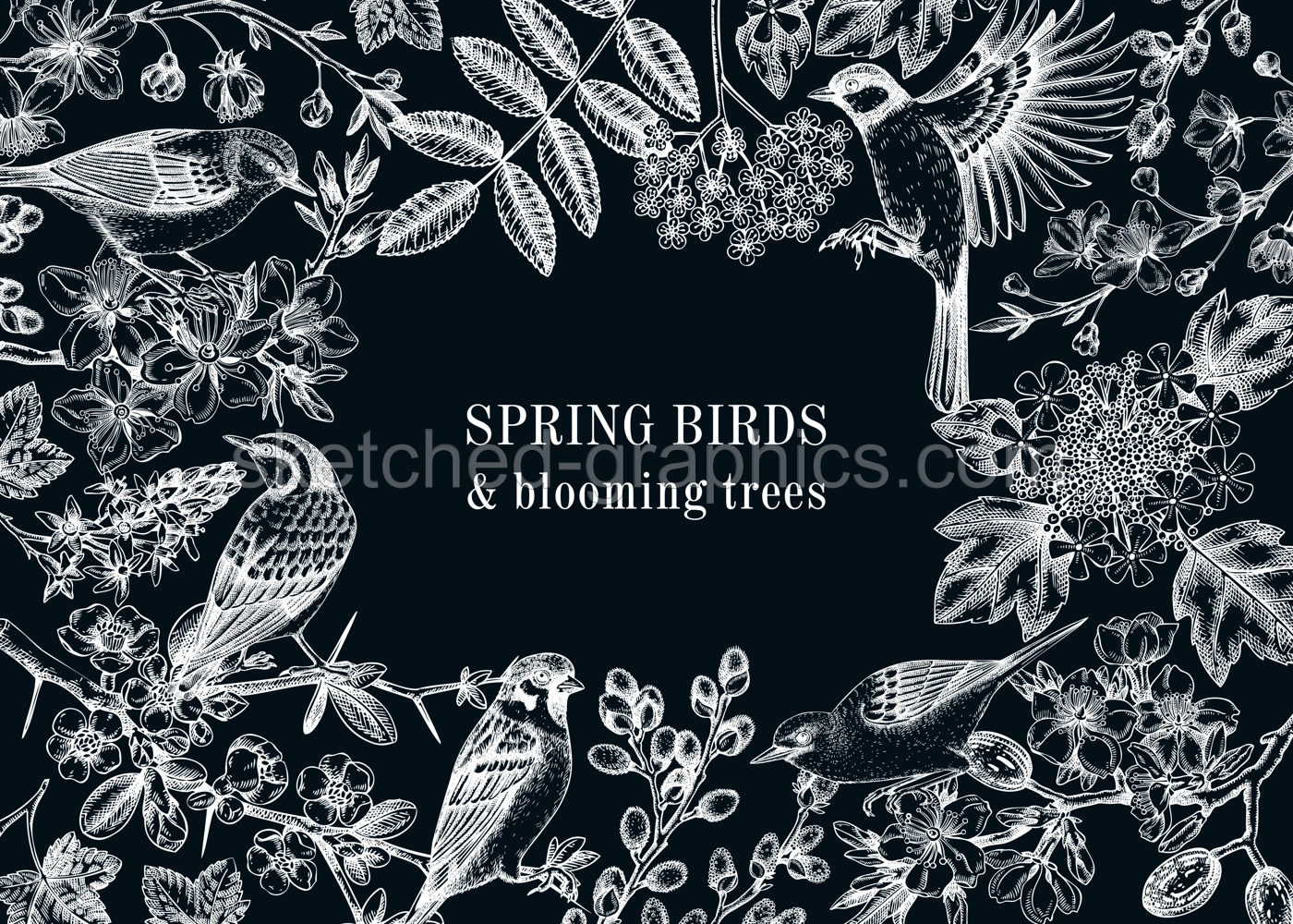 Spring garden background. Vintage frame designs with birds, flowers, leaves and blooming tree branches on chalkboard. Hand drawn almond, willow, rwillow, cherry blossom floral sketches for prints  Illustration